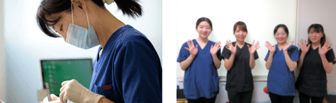 女性歯科医師