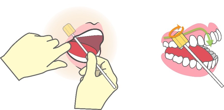 介護 食事 女性